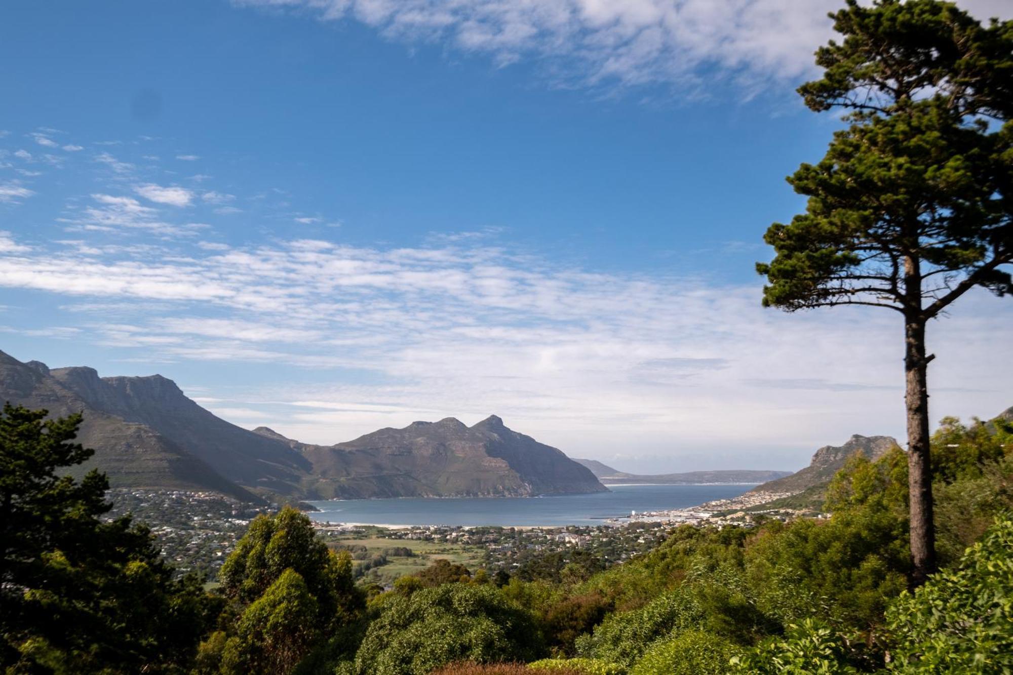 Dreamhouse Guest House Hout Bay Eksteriør billede